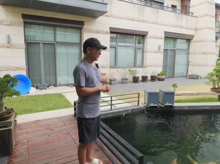 高投喂前的杀虫应该怎么做?#锦鲤鱼池 #鱼池 #锦鲤 #养鱼 @DOU+小助手