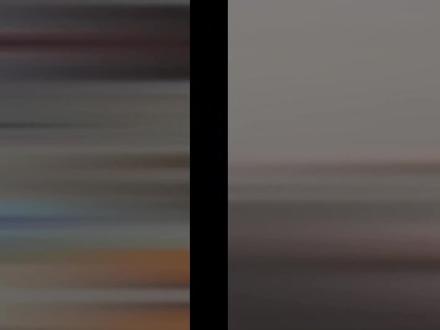 古琴 蒸棒! 真棒~真棒!真棒!!!#民乐 #古琴 #搞笑 #萝卜纸巾猫 #萌宠 原视频出自@超级无敌大开门