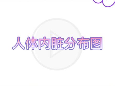 20秒了解人体内脏分布#小知识