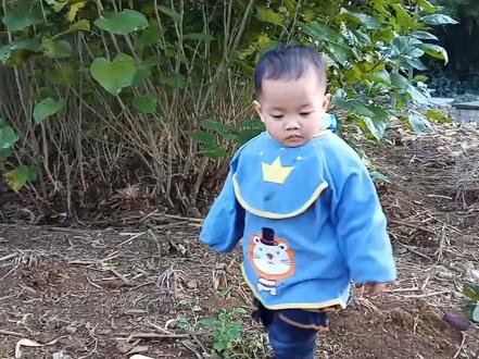 壮语《阿奴》是尊长对幼者的昵称,《呗侬》意思是大家都是一家人!