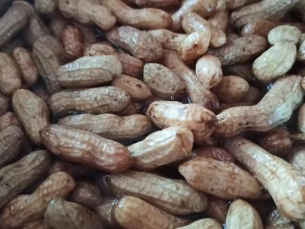 外面卖10元一斤的水煮壳花生,自己煮这么简单,好吃得停不下来