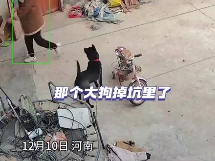 7年相伴,它早已是家人般的存在。