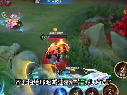 前妻有红的廉颇是无敌的 #辅核廉颇