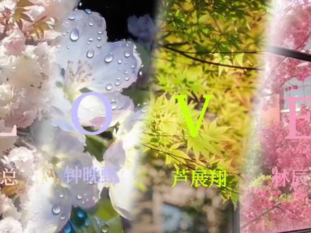 L-O-V-E love彼此的第四片叶子.#芦展翔#林辰涵#任意钟晚甄 #意甄见血 #TFBOYS爱出发