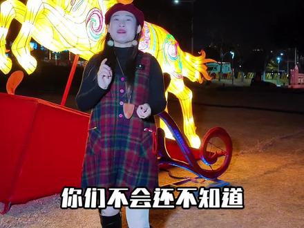 坐标金湾中心河湿地公园,属于珠海人的新春灯会,它来了#珠海遛娃好去处#春节去哪儿玩#九尾狐#雪景#金湾新春游园会