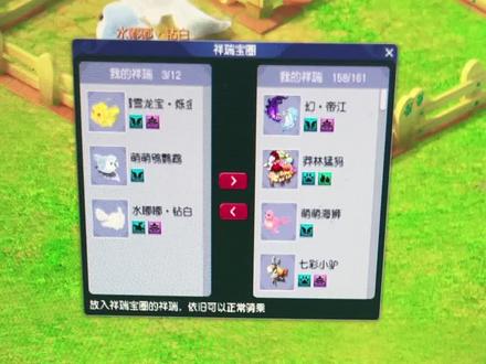 #生活随拍 祥瑞宝圈……发挥你们的想象