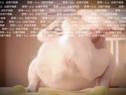 愿得一人心,白首不分离。#愿得一人心