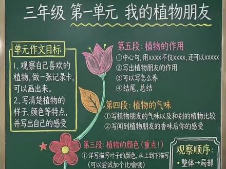 三下第一单元同步作文我的植物朋友万能模板
三年级作文封神!三下第一单元同步作文:我的植物朋友万能模板🔥
之前娃写植物总像流水账,现在跟着这个四步法,结构清晰还充满细节,再也不用愁作文啦👇
✅ 第一段:5种神仙开头
1. 引用古诗:“接天莲叶无穷碧,映日荷花别样红。”我的植物朋友就是夏日里的荷花仙子。
2. 猜谜开头:“粉嘟嘟,圆脸蛋,水里站,香又甜。”你猜到它是谁了吗?
3. 歌曲开头:“小呀小苹果,怎么爱你都不嫌多…”我的植物朋友就是红彤彤的小苹果。
4. 排比开头:有人喜欢娇艳的玫瑰,有人喜欢淡雅的菊花,而我最喜欢的是坚韧的向日葵。
5. 比喻开头:春风一吹,柳树就像一位长发飘飘的少女,在河边梳理着她的秀发。
✅ 第二段:五感描写大法
• 远看:像一把撑开的绿绒大伞,又像一朵巨大的蘑菇。
• 近看:叶子有的像小扇子,有的像小爱心,还有的像小手掌。
• 闻一闻:淡淡的清香,像雨后的青草味。
• 摸一摸:叶片滑滑的,茎秆却有点扎手。
• 动起来:风一吹,它就跳起了舞,沙沙作响。
✅ 第三段:两种进阶写法
1. 想象写法:我忽然觉得自己就是一朵桃花,穿着粉色的衣裳,站在阳光里。一阵微风吹过来,我就翩翩起舞,粉色的衣裳随风飘动。
2. 价值写法:它不但可以美化我们的校园,而且它的叶子还可以用来泡茶,有清热解毒的功效。
✅ 第四段:真情实感收尾
我爱我的植物朋友,它不仅给我带来了美的享受,更教会了我坚持#作文范文素材