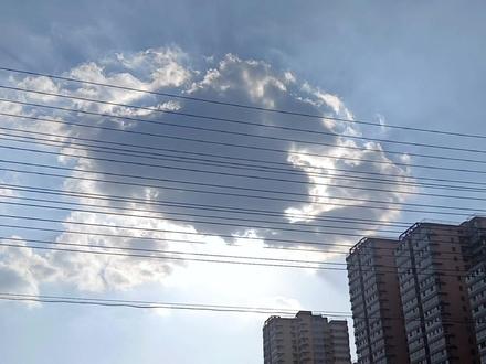 所有人都知道季家大小姐高调喜欢陆氏总裁,一追就是五年,终于把人追到了手,现在已经谈了三年恋爱。
两人从家世,外貌,能力等方面都是最般配的。
大家纷纷感叹季家大小姐的坚持,又同时心疼这个女孩,还好,终于等到浪̸.子回头。
然而,却在订婚前夜,陆星野的初恋白月光突然回国。
两人相拥̸.的照片被爆出,她看着手机上的那张照片,指尖微微颤抖。
脑海里不断闪现出过去八年里的点点滴滴,情窦初开时她就缠在陆星野的身边。
他生病的时候比自己生病还难受,给他送药倒水;夏天的时候顶着大太阳跑到操场上给陆星野送饮料。
终于在一起后,她一次次的让步,一次次的妥协,喜欢他了八年啊,整整八年,最后却落了个订婚前夜被所有人嘲笑的结果,太可笑了。
他就是仗着她喜欢他,喜欢到不顾一切也要和他在一起,才这么肆无忌惮。
可是她也是别人求之不得的人啊,她心甘情愿的放弃一切,只为了能待在他的身边。
握着手机的骨节微微泛白,她擦干眼泪,发了条短信:“我们分手吧。”
随后关机出国散心。
**
再次回国时,她火速结婚,结婚对象是那个刚从国外回来的,让整个人A市都闻风丧胆的沈家家主,也是陆星野的死对头。
他在她家门口等了几天终于等到她,男人眼眶猩红,语气卑微的不像话:“别闹脾气了,回到我身边好不好?”
她抬了抬眼皮,声音冰冷没有一丝温度:“我已经是别人的太太了!”
他僵住…
#言情 #小说