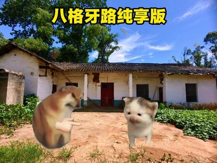 八格牙路纯享版(小彩蛋) #猫meme #搞笑 #抽象