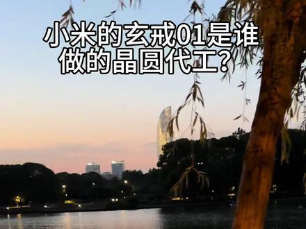 小米玄戒01是台积电代工的吗? #服务器 #英伟达 #算力 #人工智能 #计算机 @DOU+小助手