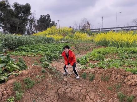 用毒蛇的毒毒毒蛇,毒蛇会不会被毒死? #Bsh #说唱 #猎奇 #新歌上线