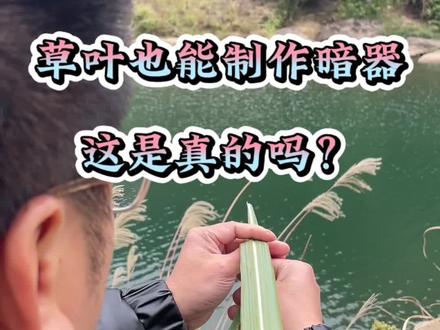 一片草叶也能制作暗器,太不可思议了。#唐门暗器 #趣味测试 @DOU+小助手