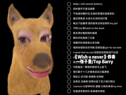 Wish u never 写给你的歌也要写完了 你会经常听它吗#真实生活分享计划#topbarry #张子墨 #wishunever #翻唱