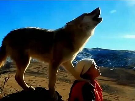 印签 重返狼群2册 狼王格林李微漪9-12-14岁小学生课外阅读狼图腾