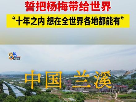 【00后海归硕士扎根山野种杨梅,誓把杨梅带给世界】金华兰溪的杨梅熟了,在这片甜鲜的果香里,我们不仅尝到了丰收的喜悦,更看到了一群返乡创业的新面孔。今天要认识的这位“00后”,在国外完成学业后,没有走进写字楼,而是闯入了家乡的山野间。#1818黄金眼 #浙江dou知道 #媒体精选计划 #杨梅 #兰溪