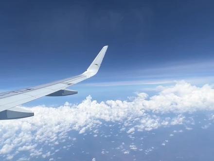 去印尼需要留意什么 印尼用什么沟通软件 #印尼常用软件 #印尼app #印尼翻译 #印尼日常生活 #印尼交通