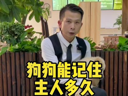 狗狗能记住主人多久,答案在这里#金毛幼犬 #宠物知识 #广州训犬 #广州狗狗训练