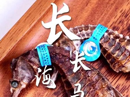 想长颈6咁高,饮这个汤 #海马 #滋补 #炖汤 #养生