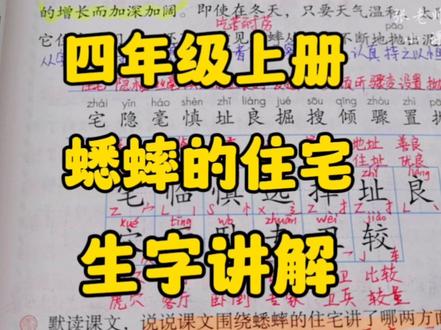 四年级上册:《蟋蟀的住宅》生字讲解,在对比归纳中识字更简单! #小学语文 #四年级上册 #部编版语文 #创作者扶持计划抖音小助手 #生字讲解