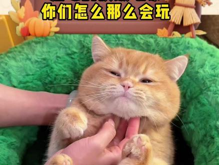 你们养猫的到底还瞒着多少我们不知道的养猫顶级玩法! #万万没想到 #猫咪 #冷知识 #猫咪的迷惑行为