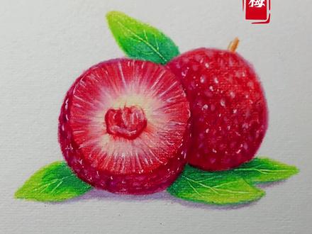 第八集丨彩铅 杨梅教程来啦!简单又好看,快去试试吧#画画 #彩铅 #手绘 #画渣日常 #绘画教程