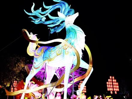 熊猫灯会,新年奇遇!#过节喝燕京U8好运即发#燕京U8#燕京U8热爱有你#燕京啤酒#燕京啤酒中国人自己的啤酒