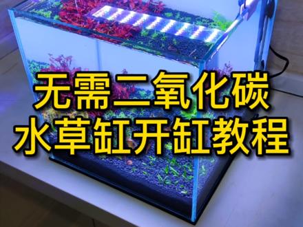 不用二氧化碳的水草缸开缸教程,好养适合新手,会一直全程记录下去 #水草缸 #草缸造景 #水族 #开缸