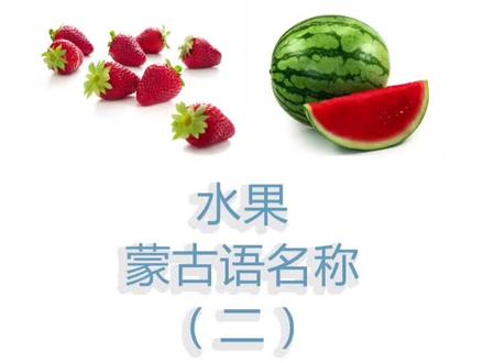 水果蒙古语名称-2 #eyereg蒙古语