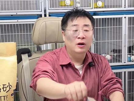 小猫一直舔塑料袋子怎么办? #新手养猫 #科学养猫攻略 #小猫