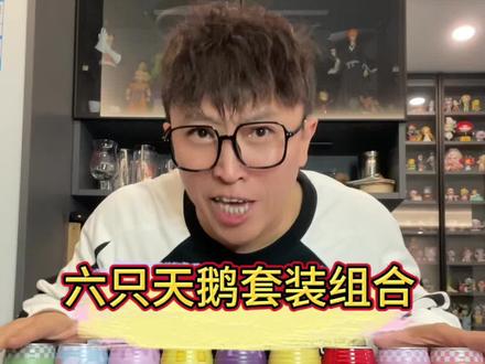 六只天鹅八种口味套装组合来啦!性价比可以!冲吧!#精酿啤酒 #酒蒙子的日常 #微醺时刻 #男人的快乐就是这么简单 #大凯技术小分享