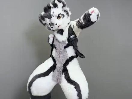 蹦进你心里!!兽人翻跳葡曲<OOO>
kpop回归!!!! 有没有想念kpop银碳呀哈哈哈哈 梦回一些999的出道夜,沈小婷yyds!!
#兽装 #舞蹈 #翻跳 #furry #银碳 #furry控 #kpop #ooo #兽装舞蹈