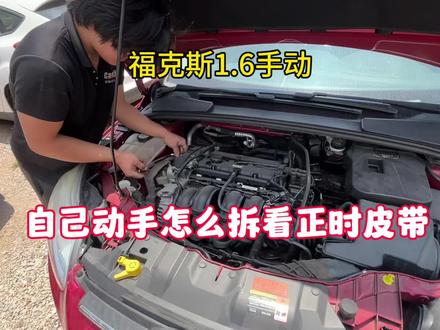 新手小白怎么拆看检查福克斯1.6手动正时皮带