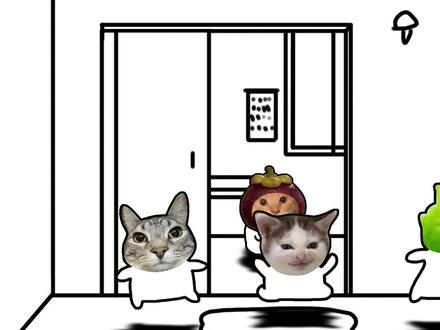 基米小学:想知道小猫的心情?那看看帽子吧 #动画 #哈基米 #表情包 #治愈 #小猫