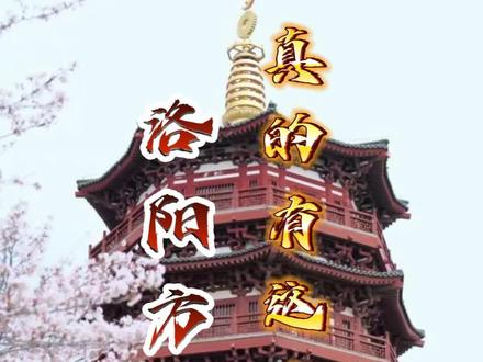 洛阳方言真的有这些字 洛阳话科普时间到#洛阳 #洛阳旅游 #知识科普 #河南话 #洛阳牡丹甲天下