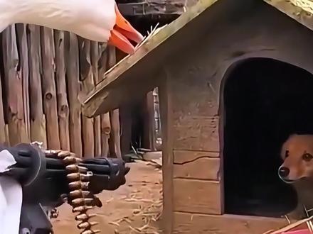 2月14日网络热门信息差 #信息差 #热点新闻事件 #奇闻奇事 #社会百态 #热点追踪