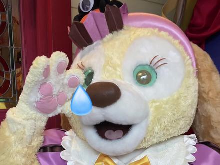 关于大家说饼饼疯了这件事情,饼饼自己的看法#可琦安 #星黛露 #迪士尼万圣节 #饼饼 #疯了