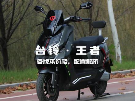 台铃·王者各版本配置价格解析