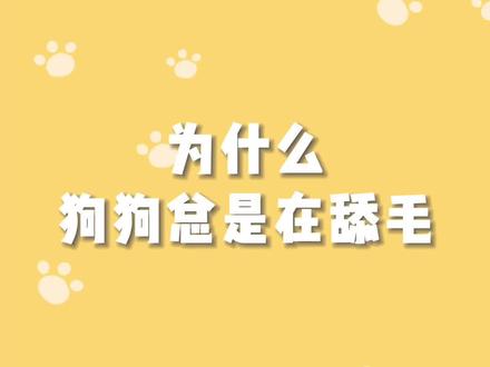 为什么狗狗总是在舔毛#宠物知识 #狗狗 #宠物科普