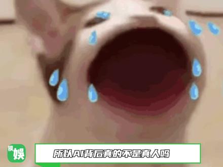所以AI背后真的不是真人吗?#深情陪伴#生活#猫箱app#恋爱