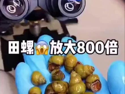 寄生虫最多的食物,建议少吃或者不吃!