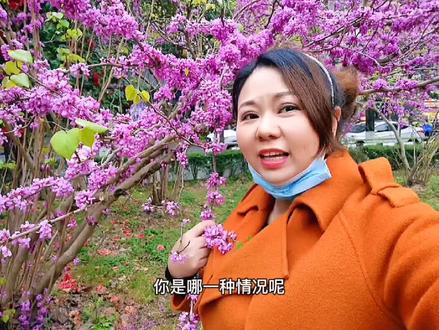 为何粉丝说在你的商品橱窗下单了,你却看不到出单量和佣金呢?你是属于哪种情况?评论区聊聊#创作灵感 #商品橱窗 #口播#知识分享 #干货#抖音创业 @抖音小助手