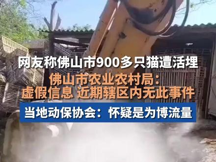 网友称佛山市900多只猫遭活埋,官方回应:虚假信息 近期辖区内无此事件