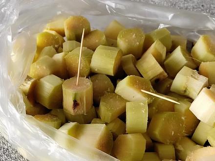 原来兔子吃甘蔗不会吐渣渣。#宠物兔 #兔子 #甘蔗的神仙吃法