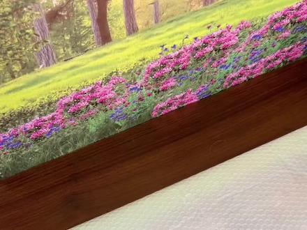 2026版五三初中下册同步练习册来了,各科目各版本全部都有,重难题有视频讲解,一课一练,考试不丢分#教辅推荐#初中 #寒假充电计划 #试卷