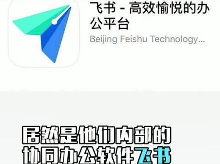 【飞书】的由来