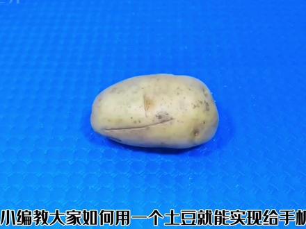 用一个土豆给手机充电,充电装置制作简单,从此实现用电自由#动手能力 #科学实验 #手机充电 #黑科技