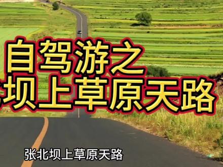 自驾游推荐之 张北坝上草原#张北草原天路 #自驾游 #草原天路 #旅行