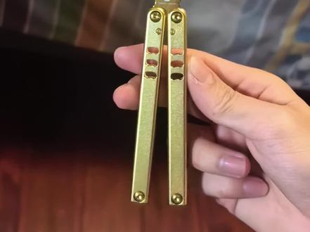 误闯天家,黄金迷你鲨