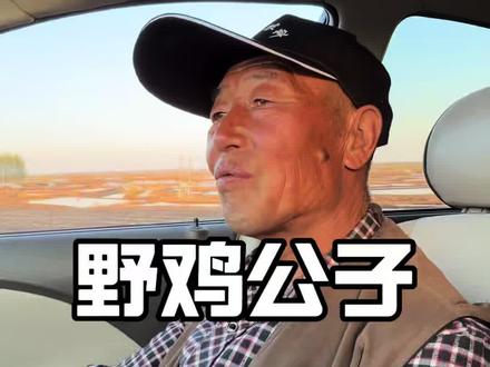 #野鸡#跑山 今天跟姥爷山上,发现一个野鸡